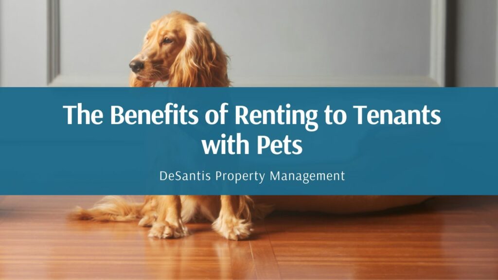 The Benefits of Renting to Tenants with Pets